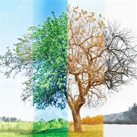 Four Seasons .